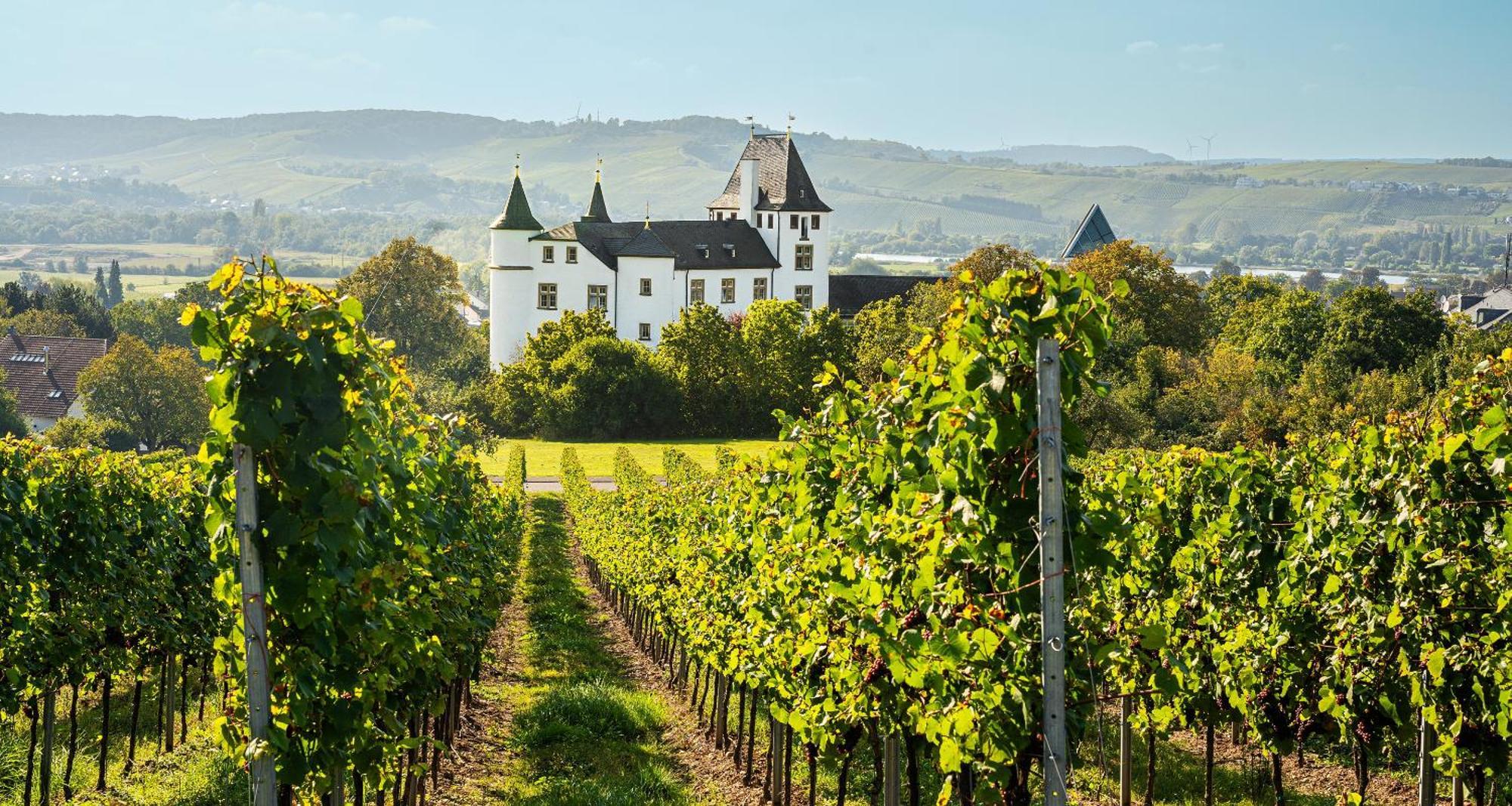 Victor'S Residenz-Hotel Schloss Berg เนนนิก ภายนอก รูปภาพ Schloss Vollrads